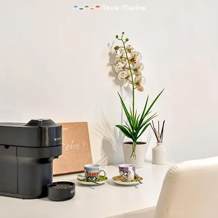 Guest house 5 Terre Central, Terremarine La Spezia